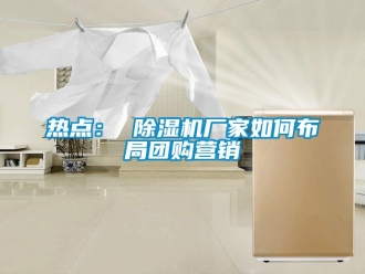 常見(jiàn)問(wèn)題熱點(diǎn)： 除濕機(jī)廠家如何布局團(tuán)購(gòu)營(yíng)銷