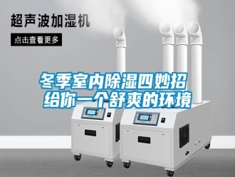 企業(yè)新聞冬季室內(nèi)除濕四妙招 給你一個(gè)舒爽的環(huán)境