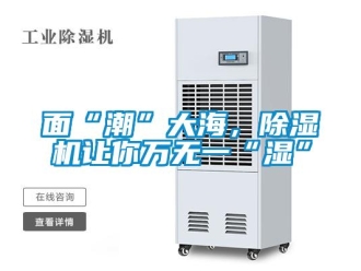 行業(yè)新聞面“潮”大海，除濕機(jī)讓你萬(wàn)無(wú)一“濕”