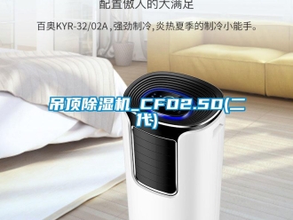 行業(yè)新聞吊頂除濕機(jī)_CFD2.5D(二代)