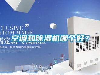 行業(yè)新聞空調(diào)和除濕機哪個好？