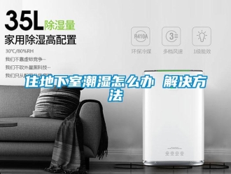 企業(yè)新聞住地下室潮濕怎么辦 解決方法