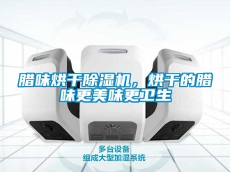 行業(yè)新聞臘味烘干除濕機(jī)，烘干的臘味更美味更衛(wèi)生