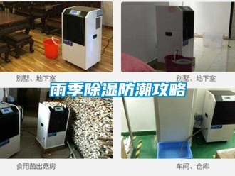 知識(shí)百科雨季除濕防潮攻略