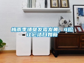 行業(yè)新聞梅雨季墻壁發(fā)霉發(fā)黃，4招讓它潔白如新