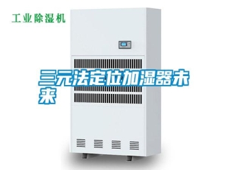 知識百科三元法定位加濕器未來