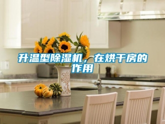 行業(yè)新聞升溫型除濕機，在烘干房的作用