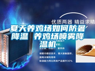 常見問題夏天養(yǎng)雞場如何防暑降溫 養(yǎng)雞場噴霧降溫機(jī)