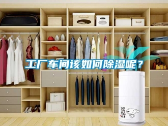 常見問題工廠車間該如何除濕呢？