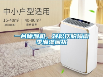 行業(yè)新聞一臺除濕機，輕松擺脫梅雨季潮濕困擾