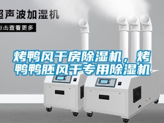 行業(yè)新聞烤鴨風(fēng)干房除濕機(jī)，烤鴨鴨胚風(fēng)干專(zhuān)用除濕機(jī)