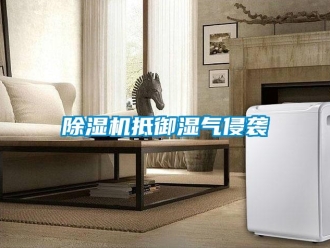 企業(yè)新聞除濕機(jī)抵御濕氣侵襲