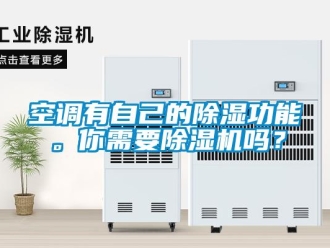 常見問題空調(diào)有自己的除濕功能。你需要除濕機嗎？