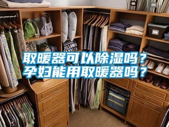 行業(yè)新聞取暖器可以除濕嗎？孕婦能用取暖器嗎？