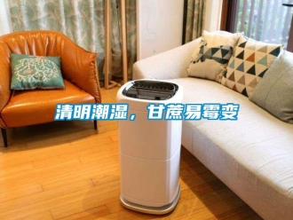 行業(yè)新聞清明潮濕，甘蔗易霉變
