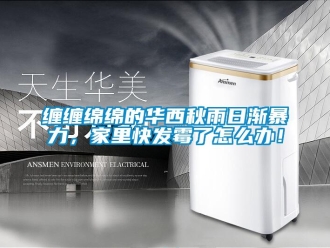 常見問題纏纏綿綿的華西秋雨日漸暴力，家里快發(fā)霉了怎么辦！