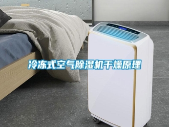 行業(yè)新聞冷凍式空氣除濕機干燥原理