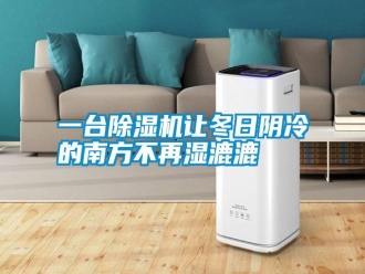 知識百科一臺除濕機讓冬日陰冷的南方不再濕漉漉