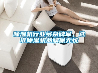 企業(yè)新聞除濕機(jī)行業(yè)多雜牌軍，選準(zhǔn)除濕機(jī)品牌保無憂