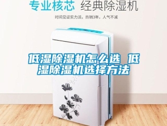 行業(yè)新聞低濕除濕機(jī)怎么選 低濕除濕機(jī)選擇方法