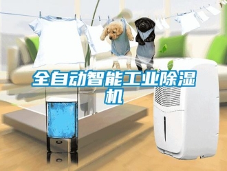 常見問題全自動智能工業(yè)除濕機(jī)