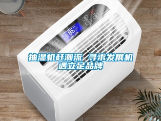 企業(yè)新聞抽濕機趕潮流 尋求發(fā)展機遇立足品牌