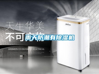 知識(shí)百科雨天防潮有除濕機(jī)