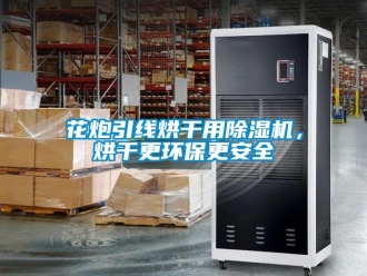 行業(yè)新聞花炮引線烘干用除濕機，烘干更環(huán)保更安全