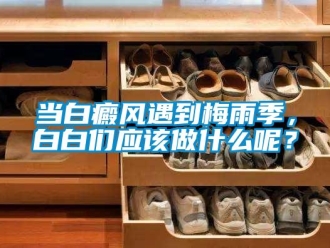企業(yè)新聞當白癜風遇到梅雨季，白白們應該做什么呢？