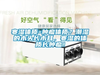 行業(yè)新聞寒濕體質(zhì)=腫瘤體質(zhì)？潮濕的木頭長木耳，寒濕的體質(zhì)長腫瘤！