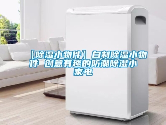 常見問題【除濕小物件】自制除濕小物件 創(chuàng)意有趣的防潮除濕小家電