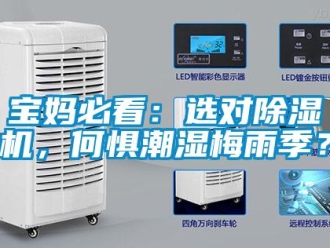常見問題寶媽必看：選對除濕機，何懼潮濕梅雨季？