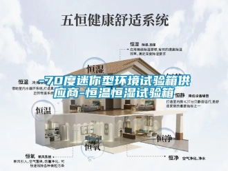 常見問題-70度迷你型環(huán)境試驗(yàn)箱供應(yīng)商-恒溫恒濕試驗(yàn)箱