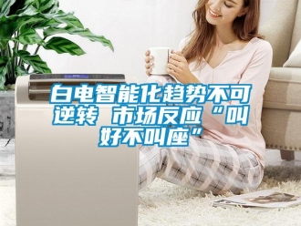 常見問題白電智能化趨勢不可逆轉(zhuǎn) 市場反應(yīng)“叫好不叫座”