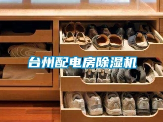 行業(yè)新聞臺(tái)州配電房除濕機(jī)