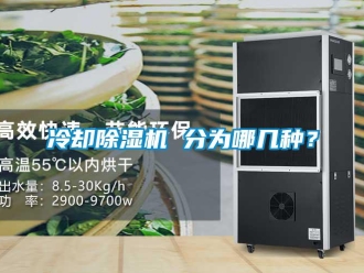 行業(yè)新聞冷卻除濕機 分為哪幾種？