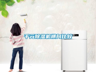 行業(yè)新聞千元除濕機橫向比較