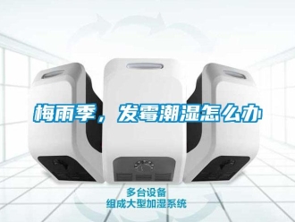 常見問題梅雨季，發(fā)霉潮濕怎么辦