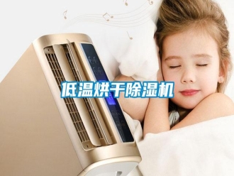 企業(yè)新聞低溫烘干除濕機(jī)