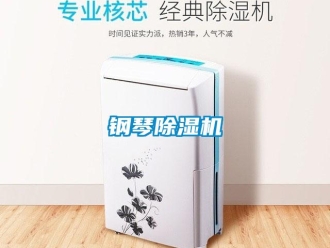 企業(yè)新聞鋼琴除濕機
