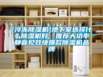企業(yè)新聞[冷凍除濕機(jī)]地下室選擇什么除濕機(jī)好，推薦大功率靜音見效快爆款除濕機(jī)品牌
