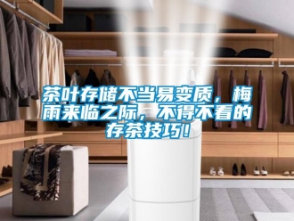 企業(yè)新聞茶葉存儲不當(dāng)易變質(zhì)，梅雨來臨之際，不得不看的存茶技巧！