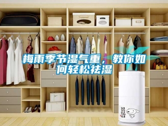 常見(jiàn)問(wèn)題梅雨季節(jié)濕氣重，教你如何輕松祛濕
