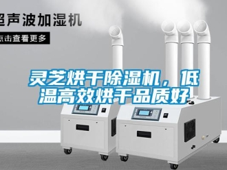 行業(yè)新聞靈芝烘干除濕機，低溫高效烘干品質(zhì)好