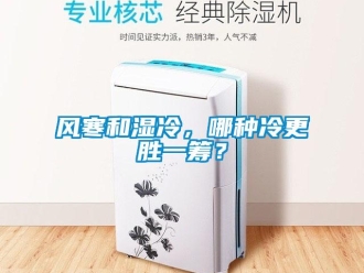 企業(yè)新聞風(fēng)寒和濕冷，哪種冷更勝一籌？