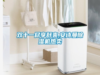 企業(yè)新聞雙十一盡享舒爽,安詩(shī)曼除濕機(jī)熱賣