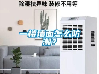 常見問題一樓墻面怎么防潮？
