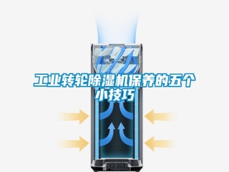 企業(yè)新聞工業(yè)轉(zhuǎn)輪除濕機(jī)保養(yǎng)的五個(gè)小技巧