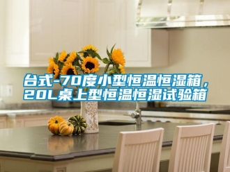 知識百科臺式-70度小型恒溫恒濕箱，20L桌上型恒溫恒濕試驗箱