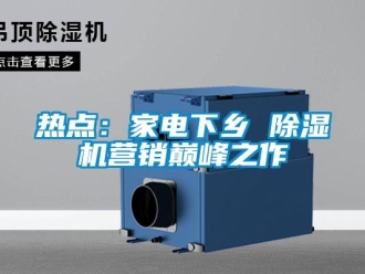 行業(yè)新聞熱點(diǎn)：家電下鄉(xiāng) 除濕機(jī)營(yíng)銷巔峰之作
